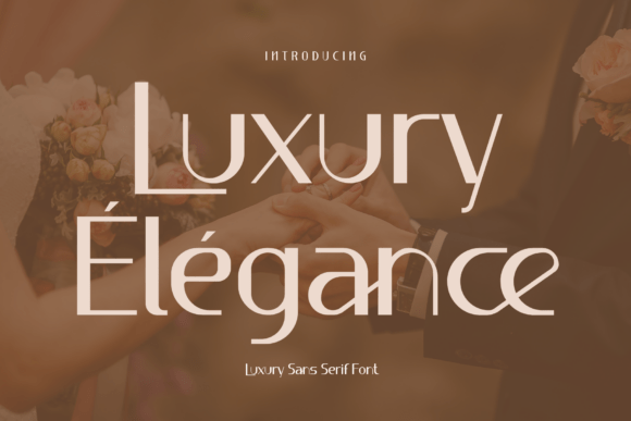 Luxury Élégance Font for Brand Identity